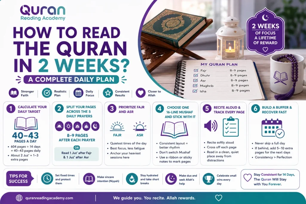 How To Read the Quran In 2 Weeks? A Complete Daily Plan