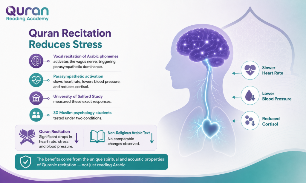 Health Benefits of Reading Quran 1 image 21